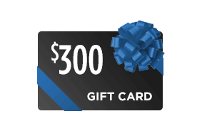 $300 Visa Gift Card