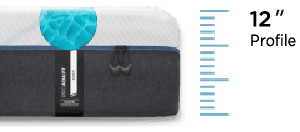 ProAdapt mattress with profile ruler and 12" profile