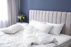 Comforter on a Styled Bed